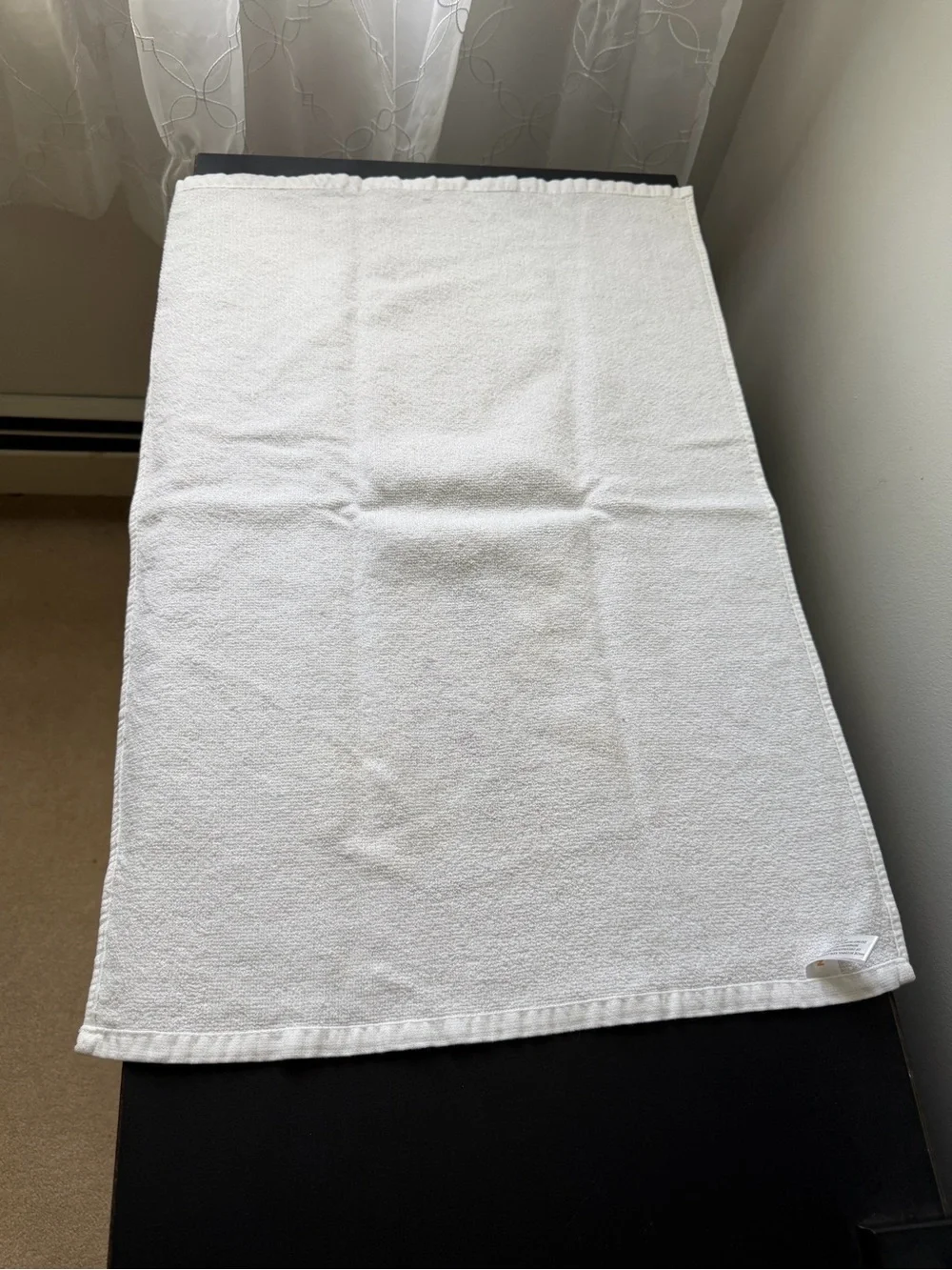 Halloween Cat Hand Towels